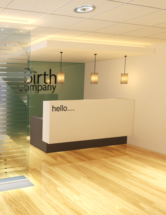 The Birth Company Reception Area 3D Design