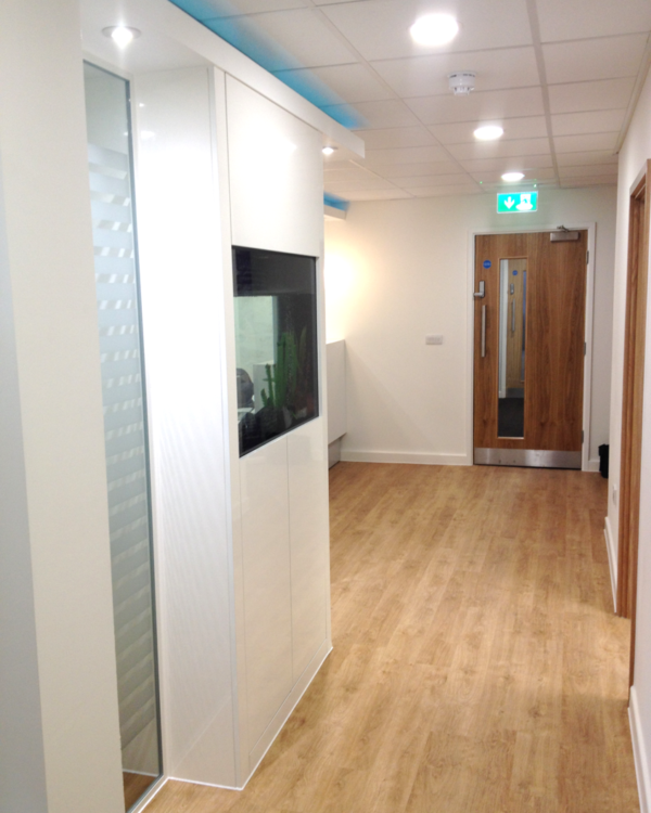 The Birth Company Reception Area Hallway Flooring