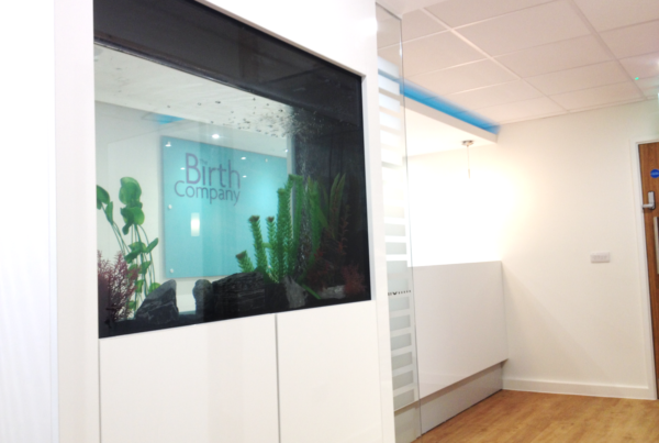 The Birth Company Reception Area Fish Tank Visual