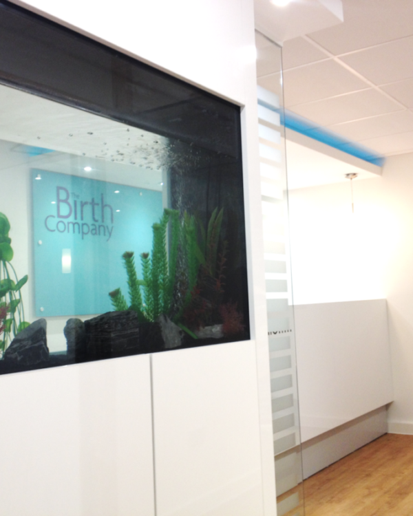 The Birth Company Reception Area Fish Tank Visual